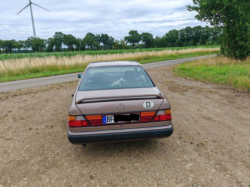 Gebraucht Mercedes 220 150 PS (110 kW) 1992 Gold Coupé
