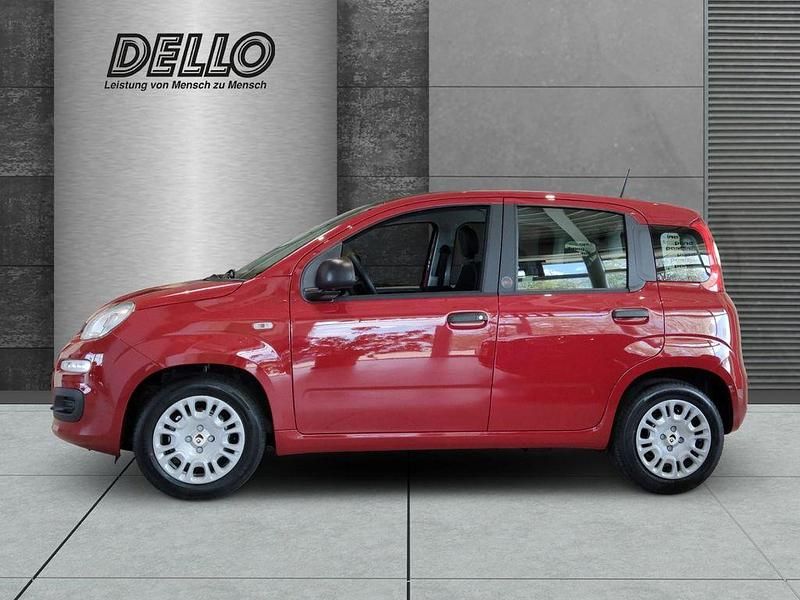 Neu Fiat Panda Icon 65 PS (47 kW) 2026 Rot Kleinwagen