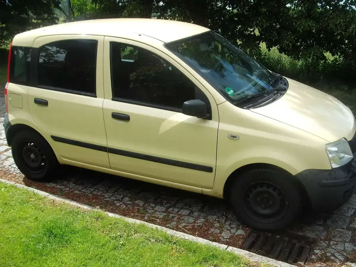 Gebraucht Fiat Panda Active 54 PS (39 kW) 2009 Mambo gelb Kleinwagen