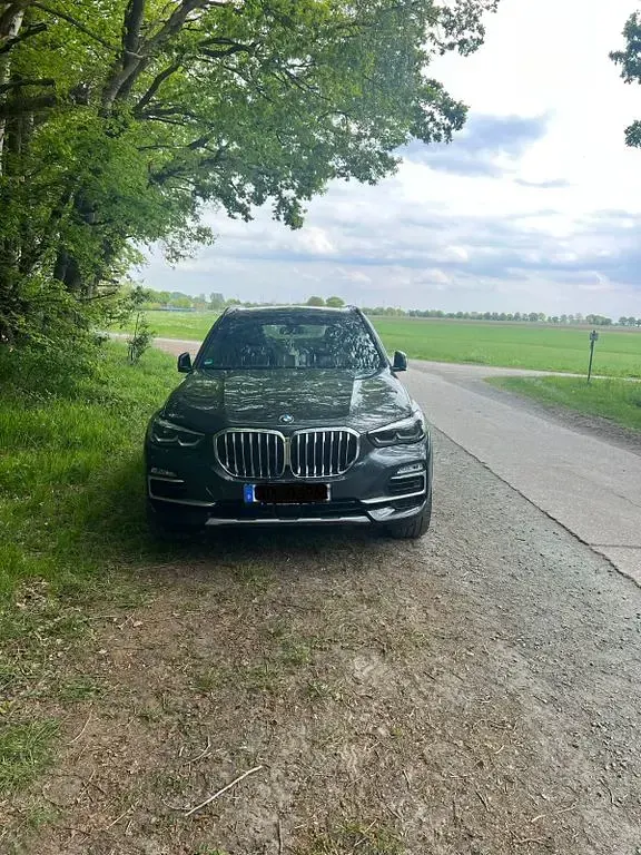 Gebraucht BMW X5 Performance 394 PS (289 kW) 2021 Grau SUV