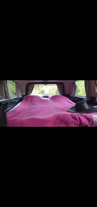 Gebraucht Mercedes V220 163 PS (119 kW) 2019 Blau Van / Kleinbus