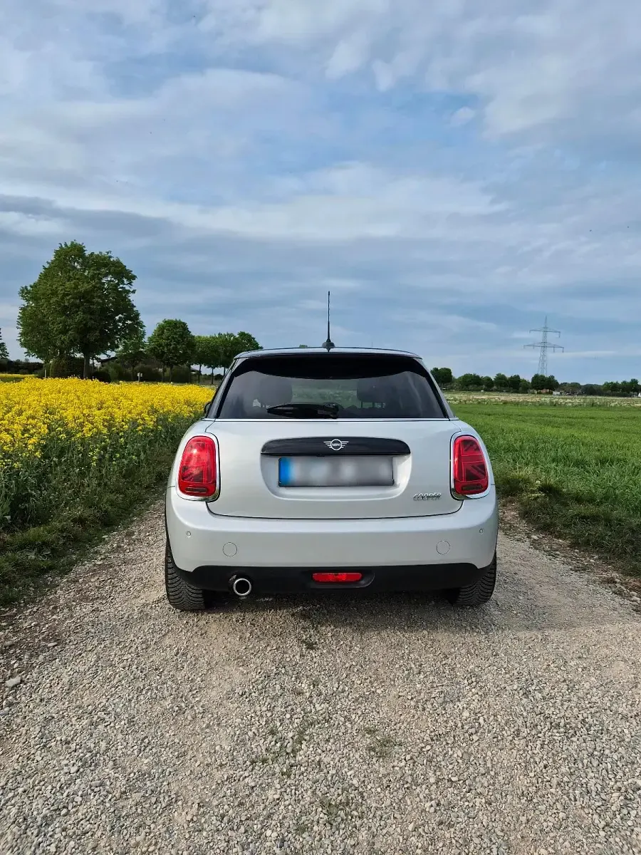 Gebraucht Mini Cooper 136 PS (100 kW) 2019 Silber Kleinwagen