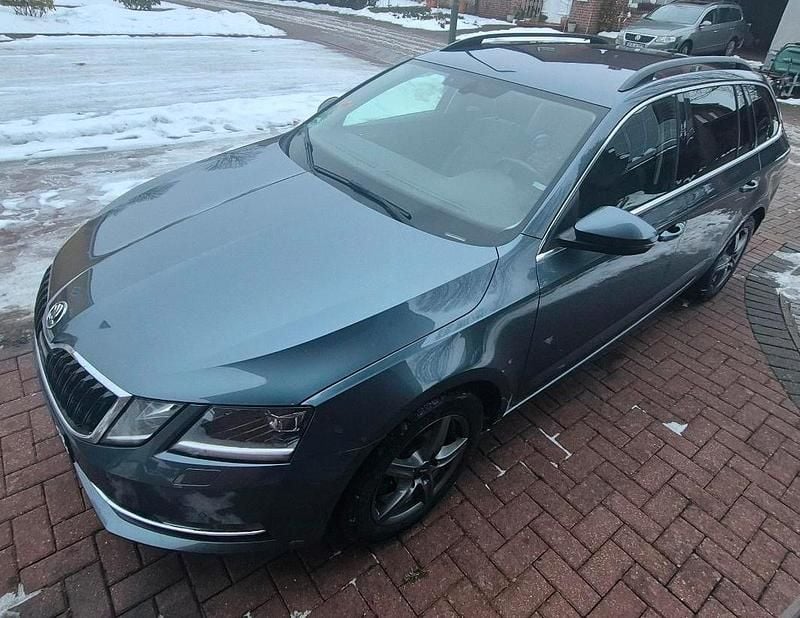Gebraucht Skoda Octavia G-TEC Style 110 PS (80 kW) 2018 Grau Kombi