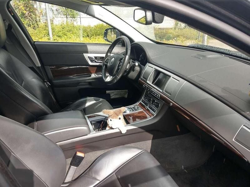 Grau Gebraucht 2012 Jaguar XF Sportbrake Kombi | 11.500 € (Superpreis) - Bild 1/4