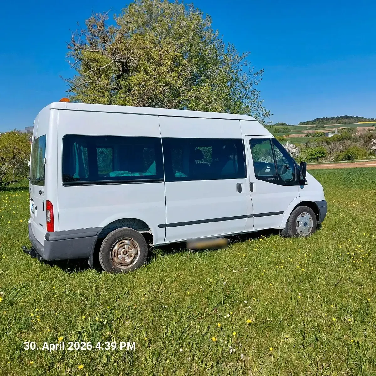 Usata Ford Transit 125 CV (91 kW) 2014 Bianco Monovolume