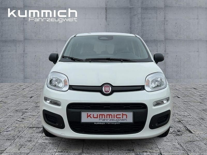 Neu Fiat Panda Icon 69 PS (50 kW) 2025 Weiß Limousine