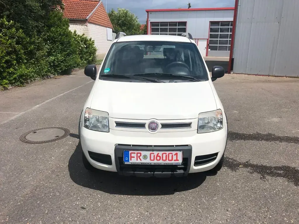 Gebraucht Fiat Panda 4x4 69 PS (50 kW) 2011 Weiß Kleinwagen