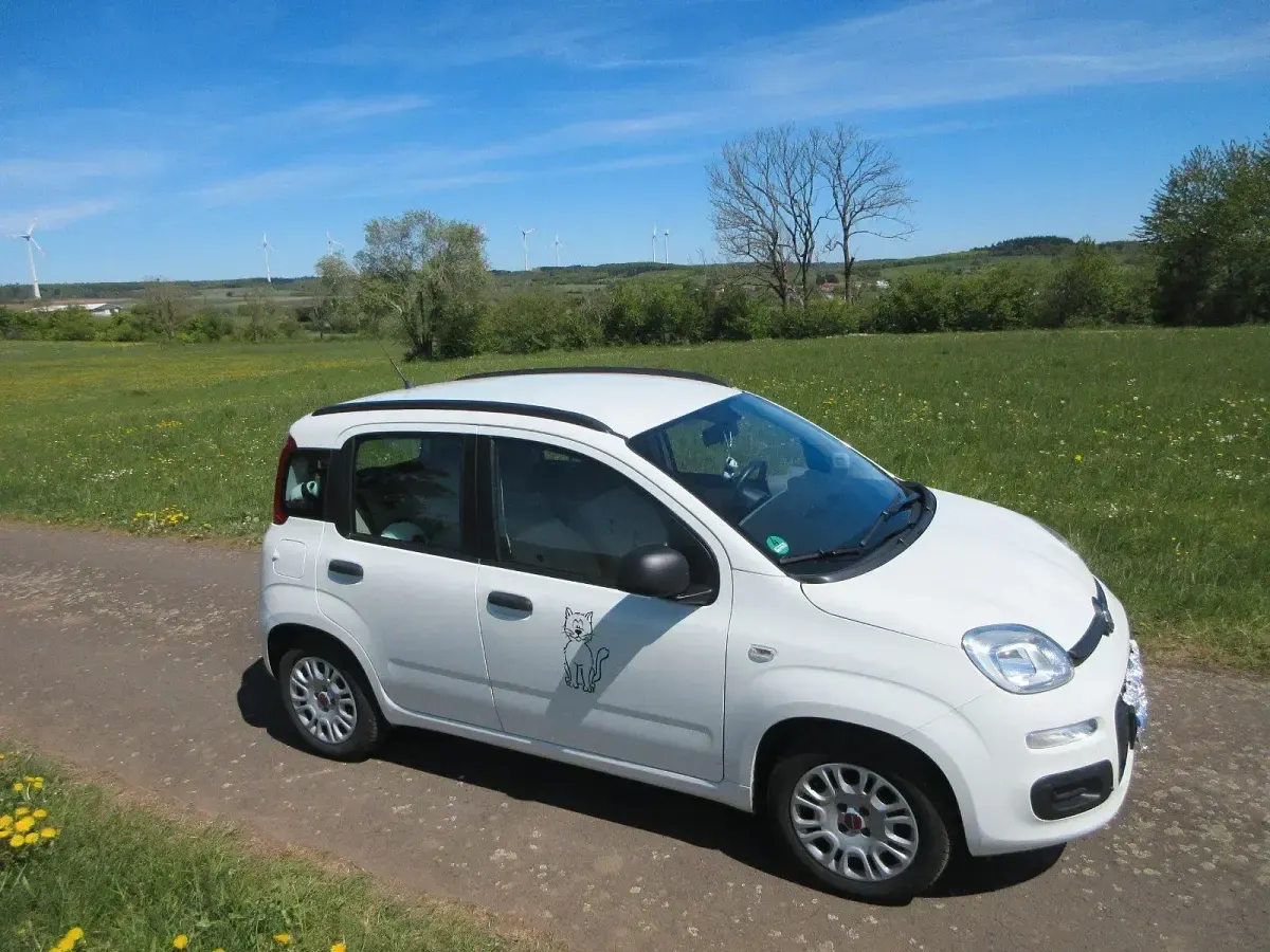 Gebraucht Fiat Panda 69 PS (50 kW) 2013 Weiß Kleinwagen