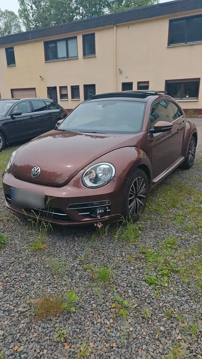 Gebraucht VW Beetle Allstar 110 PS (80 kW) 2016 Braun Kleinwagen