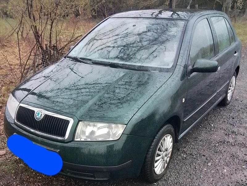Gebraucht Skoda Fabia 75 PS (55 kW) 2003 Grün Kleinwagen
