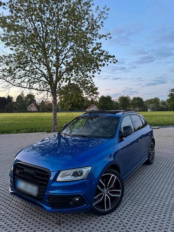 Blau Gebraucht 2016 Audi SQ5 SUV | 24.000 € (Teuer) - Bild 1/4