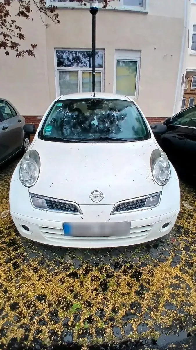 Gebraucht Nissan Micra 78 PS (57 kW) 2009 Weiß Kleinwagen