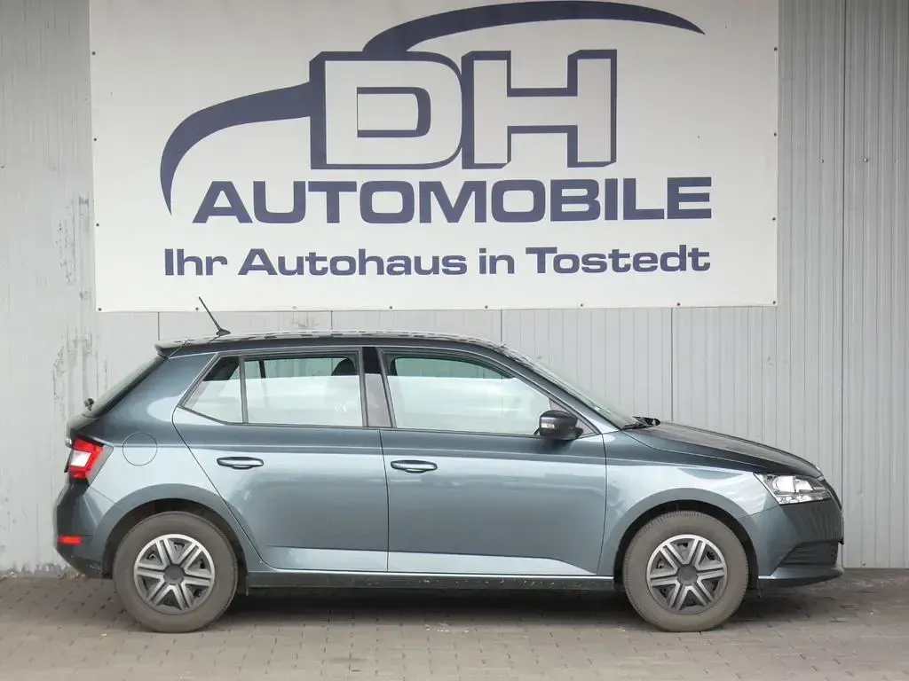 Gebraucht Skoda Fabia Active 75 PS (55 kW) 2019 Grau Kleinwagen