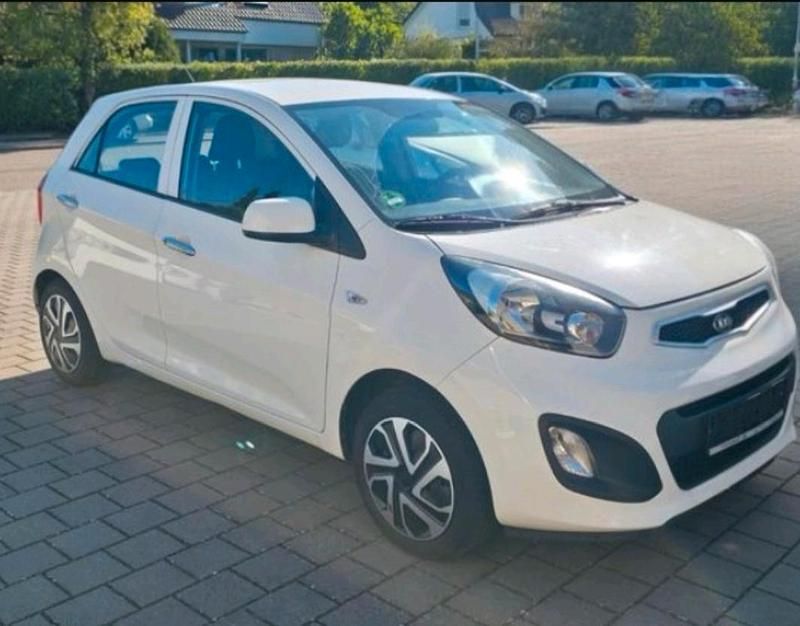 Gebraucht Kia Picanto 69 PS (50 kW) 2012 Weiß Kleinwagen