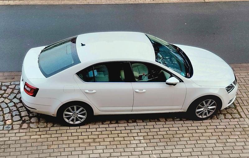 Gebraucht Skoda Octavia Style 116 PS (85 kW) 2019 Weiß Limousine