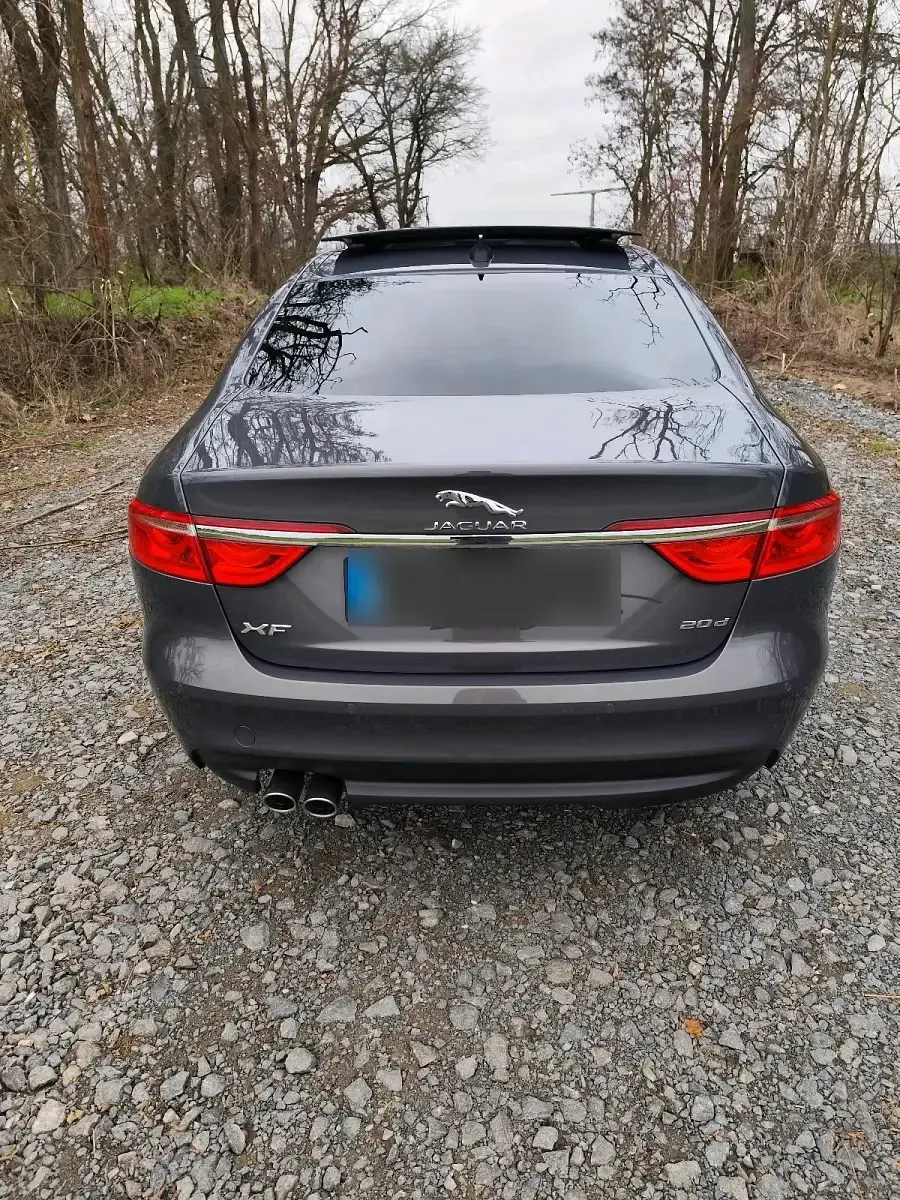 Gebraucht Jaguar XF 180 PS (132 kW) 2016 Grau Limousine