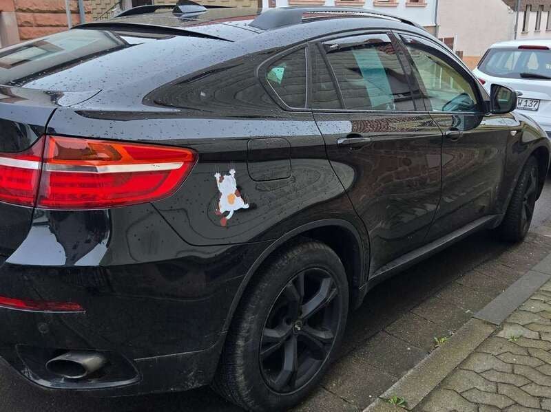 Grün Gebraucht 2012 BMW X6 SUV | 16.500 € (Fairer Preis) - Bild 1/4