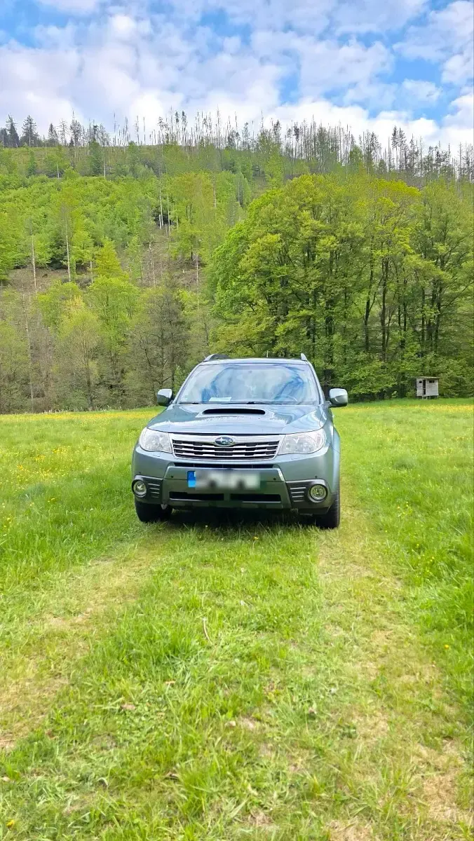 Gebraucht Subaru Forester 150 PS (110 kW) 2009 Grün SUV