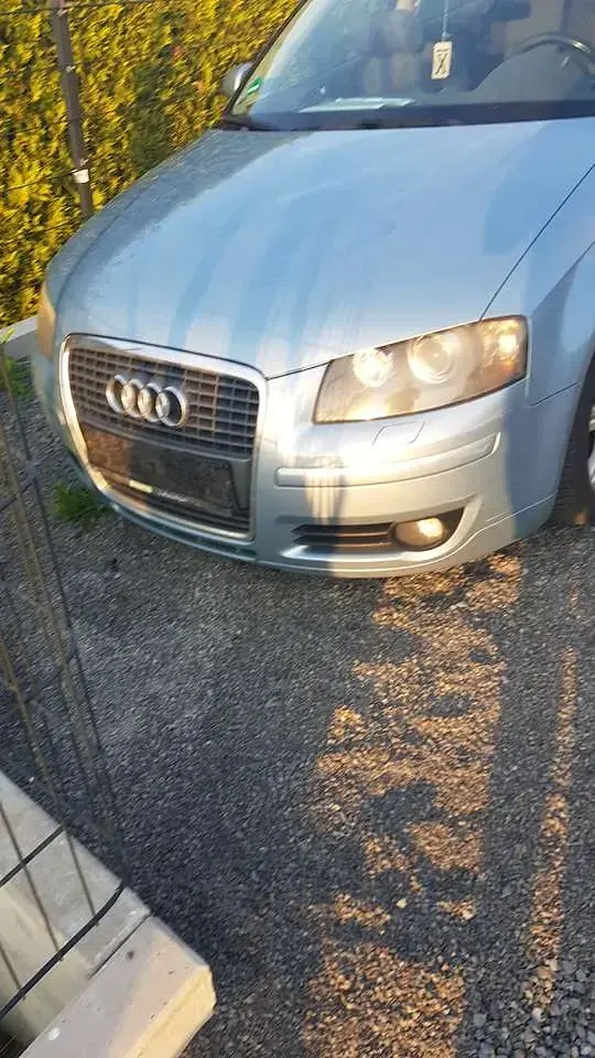Gebraucht Audi A3 Attraction 110 PS (80 kW) 2007 Blau Kleinwagen
