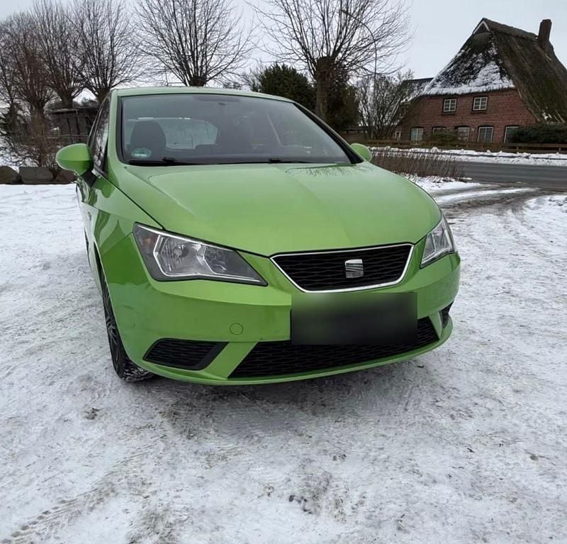Gebraucht Seat Ibiza Reference 69 PS (50 kW) 2012 Grün Kleinwagen