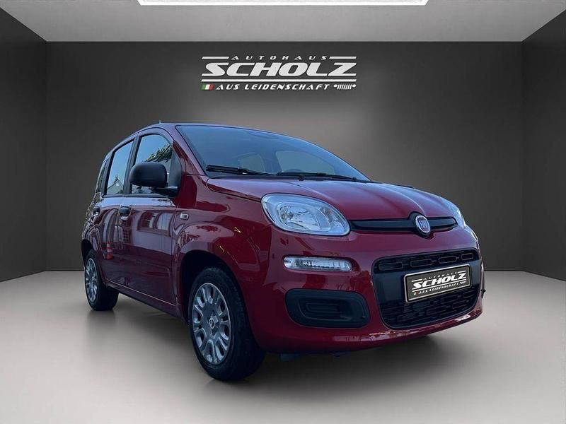 Neu Fiat Panda 69 PS (50 kW) 2025 Rot Kleinwagen
