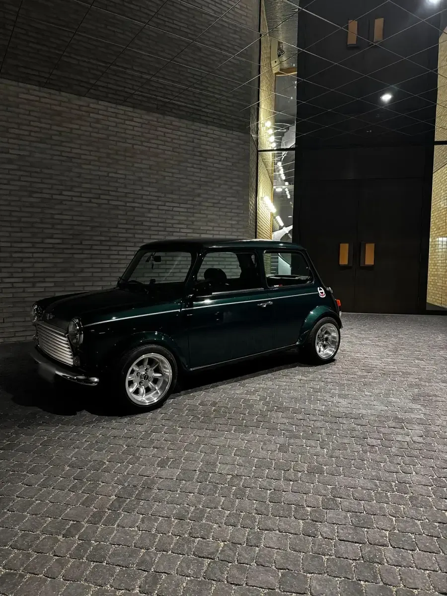 Gebraucht Rover Mini 63 PS (46 kW) 1994 Grün Kleinwagen