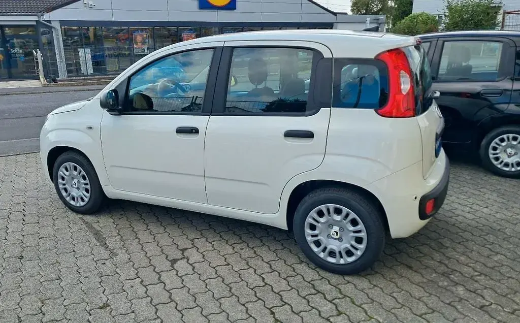 Neu Fiat Panda 69 PS (50 kW) 2025 Weiß Kleinwagen