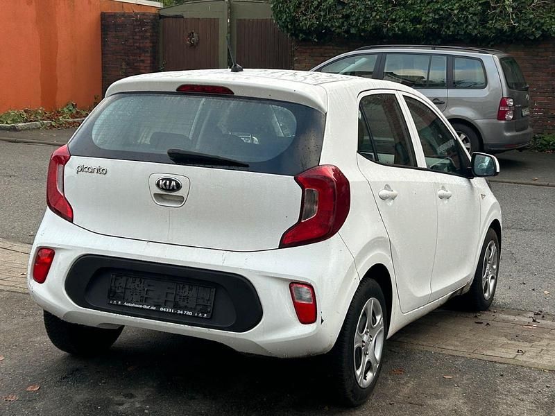 Gebraucht Kia Picanto Edition 7 67 PS (49 kW) 2019 Weiß Kleinwagen