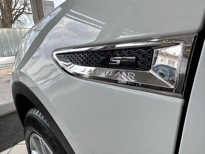 Gebraucht Jaguar E-Pace Basis 163 PS (119 kW) 2019 Weiß SUV