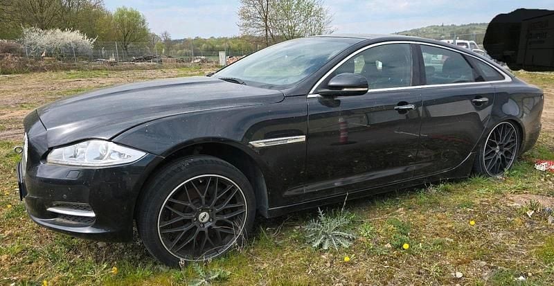 Gebraucht Jaguar XJ 272 PS (200 kW) 2011 Schwarz Limousine
