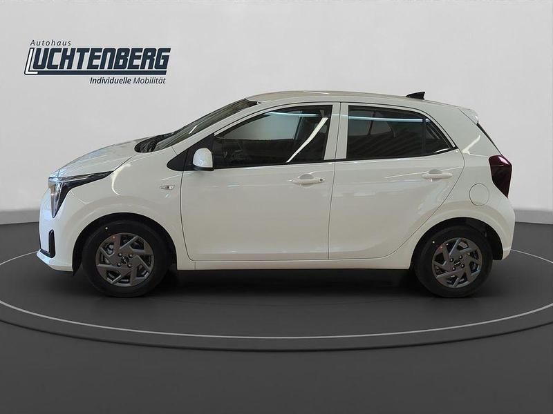 Neu Kia Picanto Vision 63 PS (46 kW) 2025 Weiß Kleinwagen