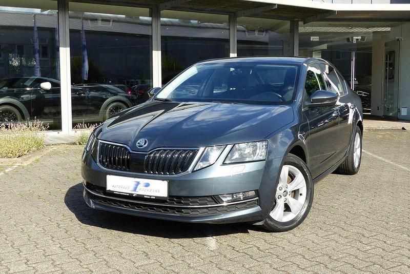 Gebraucht Skoda Octavia Style 190 PS (139 kW) 2019 Quarzgrau metallic Limousine