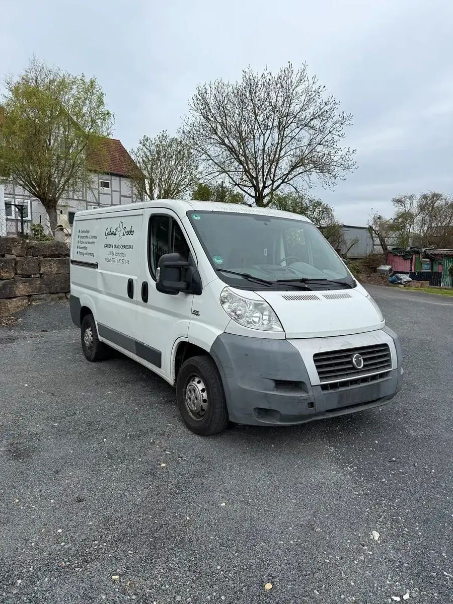 Usata Fiat Ducato 100 CV (73 kW) 2012 Bianco Furgone