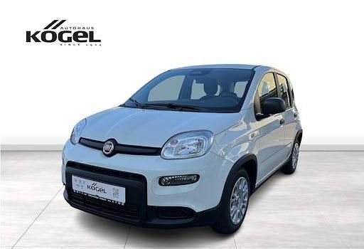 Gebraucht Fiat Panda 70 PS (51 kW) 2024 Weiß (gelato weiss) Kleinwagen