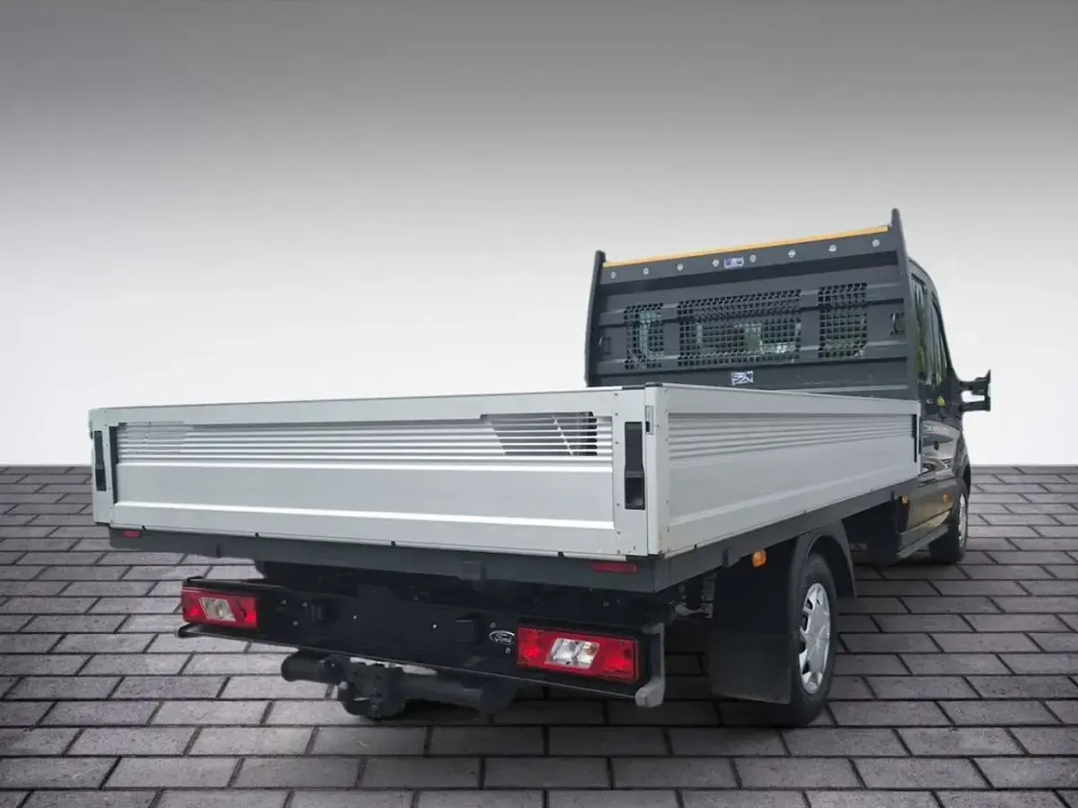 Gebraucht Ford Transit 170 PS (125 kW) 2023 Grau / magnetic grau Van