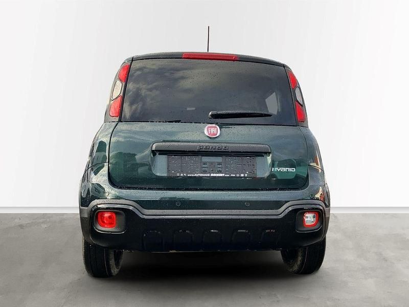 Neu Fiat Panda Cross 65 PS (47 kW) 2026 Gruen Kleinwagen