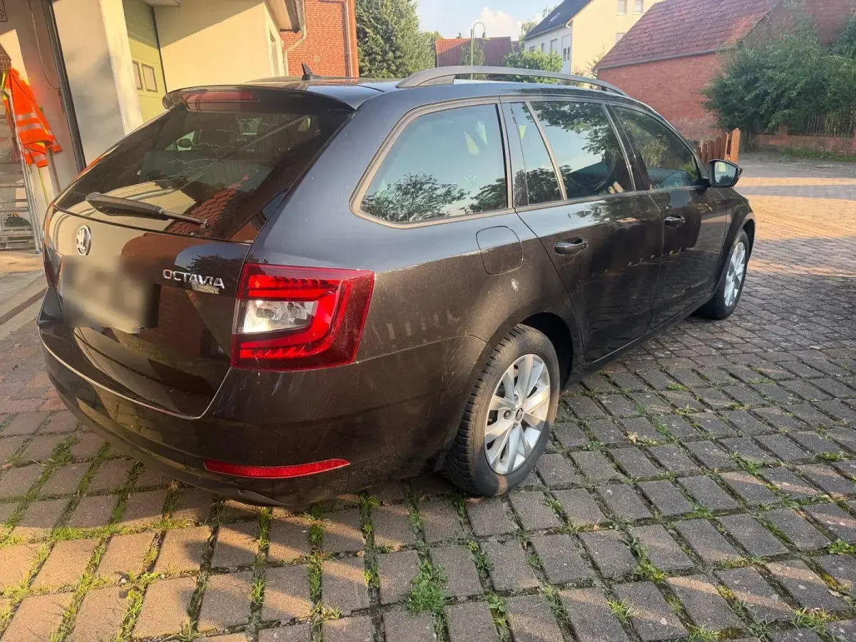 Gebraucht Skoda Octavia Ambition 116 PS (85 kW) 2020 Schwarz Kombi