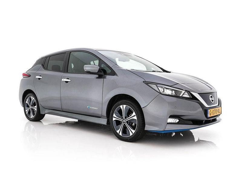 Gebraucht Nissan Leaf 160 kW (218 PS) 2019 Grau Kleinwagen