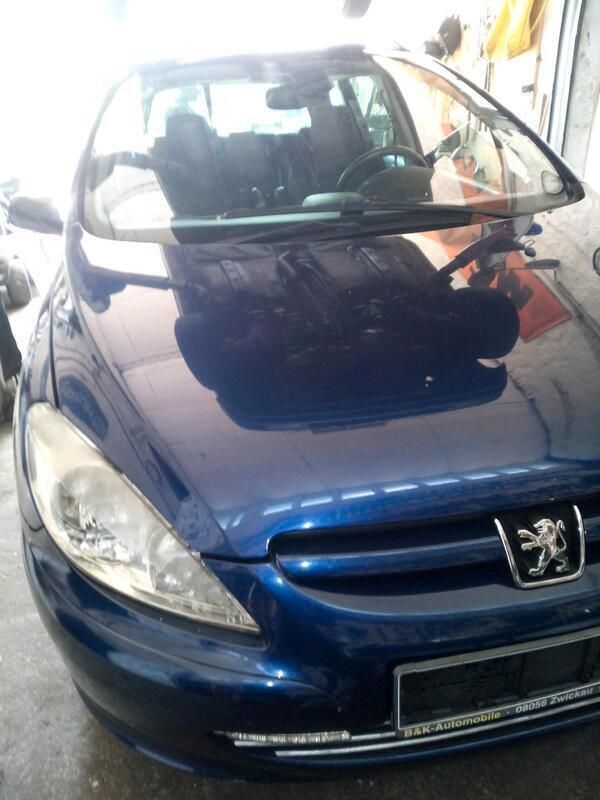 Blau Gebraucht 2005 Peugeot 307 Kombi | 1.000 € (Fairer Preis) - Bild 1/4