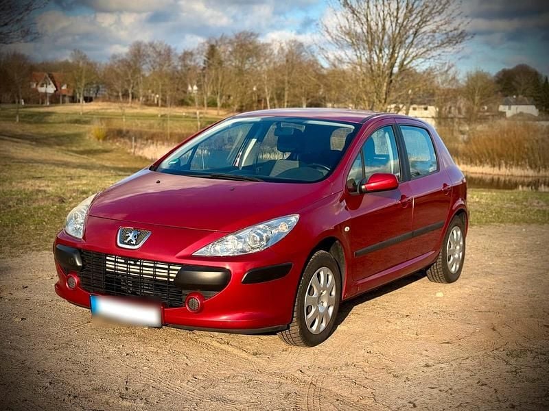 Gebraucht Peugeot 307 110 PS (80 kW) 2005 Rot Kleinwagen