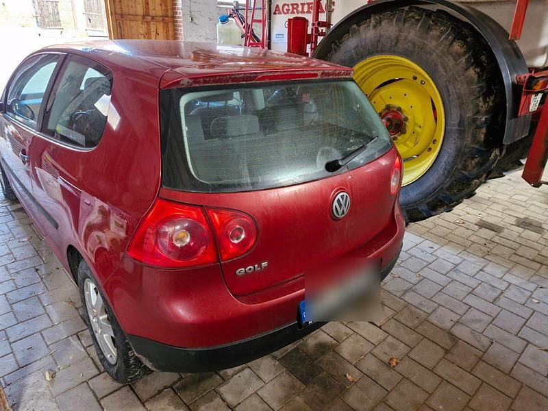 Gebraucht 2003 VW Golf V Kleinwagen | 1.895 € (Fairer Preis) - Bild 1/4