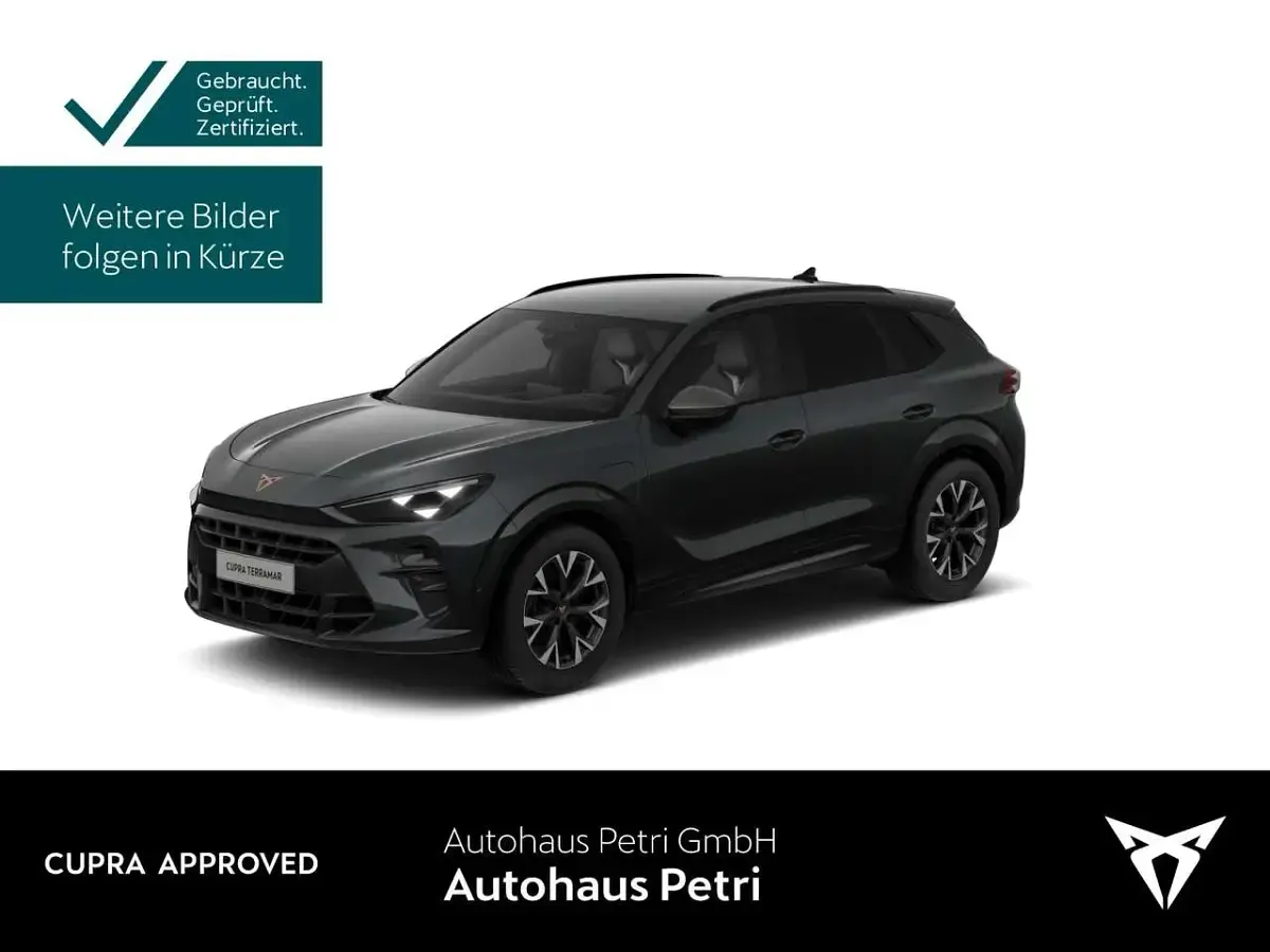 Second-hand Cupra Terramar 204 CP (150 kW) 2025 Gri SUV