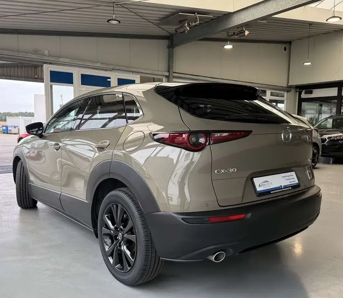 Gebraucht Mazda CX-30 Homura-Line 140 PS (102 kW) 2026 Zircon sand SUV