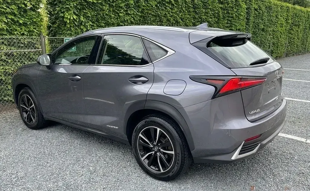 Gebraucht Lexus NX300h 155 PS (114 kW) 2021 Grau SUV