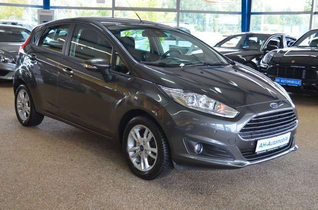 Gebraucht Ford Fiesta Trend 101 PS (74 kW) 2015 Grau Kleinwagen
