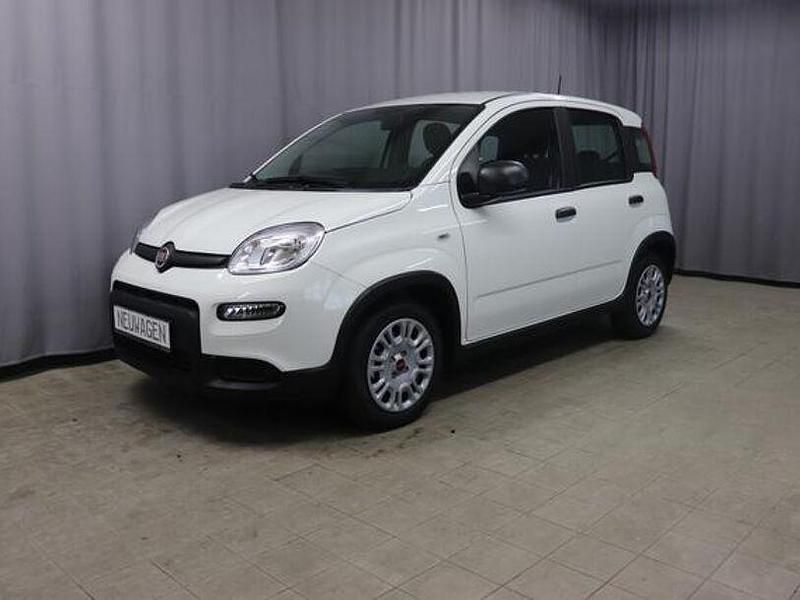 Andere Neu 2024 Fiat Panda Kleinwagen | 13.500 € (Guter Preis) - Bild 1/1