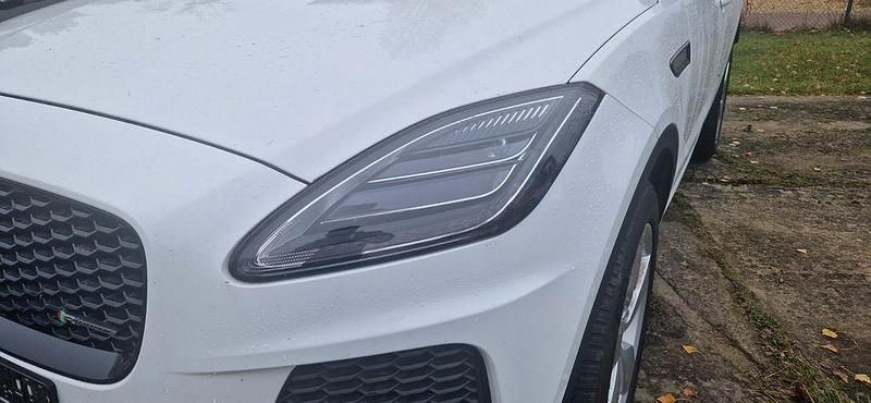 Gebraucht Jaguar E-Pace R-Dynamic 179 PS (131 kW) 2019 Weiß SUV