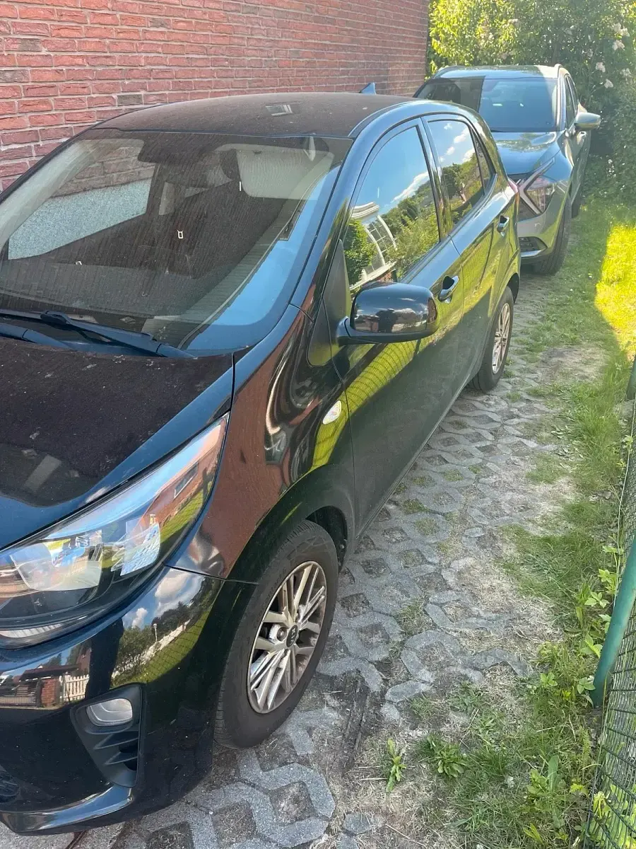 Gebraucht Kia Picanto 83 PS (61 kW) 2021 Schwarz Kleinwagen