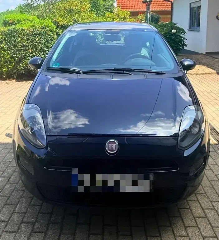 Gebraucht Fiat Punto Evo 69 PS (50 kW) 2012 Blau Kleinwagen