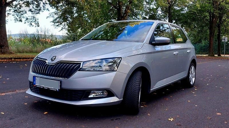 Silber Gebraucht 2019 Skoda Fabia Active Kleinwagen | 8.999 € (Fairer Preis) - Bild 1/4